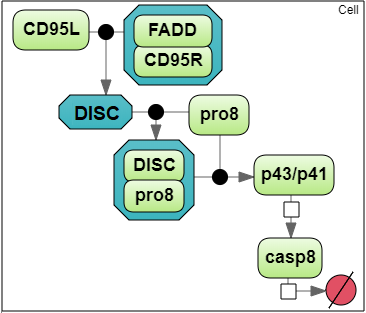The test model of caspase-8 activation