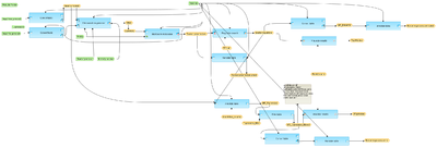 Upstream-analysis-with-feedback-loop-TRANSFAC-R-and-TRANSPATH-R-workflow-overview.png