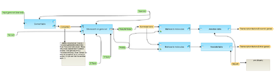 Analyze-promoters-GTRD-workflow-overview.png