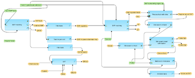 Analyze-SNP-list-GTRD-workflow-overview.png