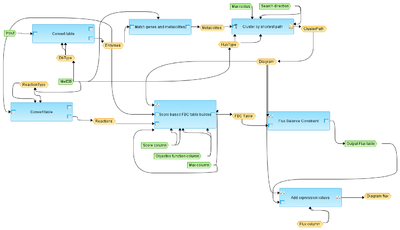 Flux-Balance-Analysis-workflow-overview.png