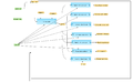 Mapping-to-ontologies-for-multiple-gene-sets-TRANSPATH-R-workflow-overview.png