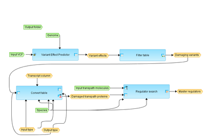 Find-master-regulators-in-mutated-network-workflow-overview.png