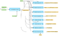 Cross-species-mapping-to-ontologies-using-orthologue-information-HumanPSD-TM-workflow-overview.png